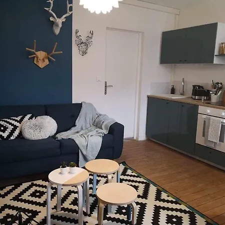 Le Grand Est Scandinave, Centre Ville, Proche Cathedrale Reims