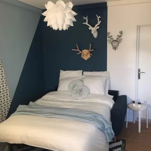 Le Grand Est Scandinave, Centre Ville, Proche Cathedrale Reims